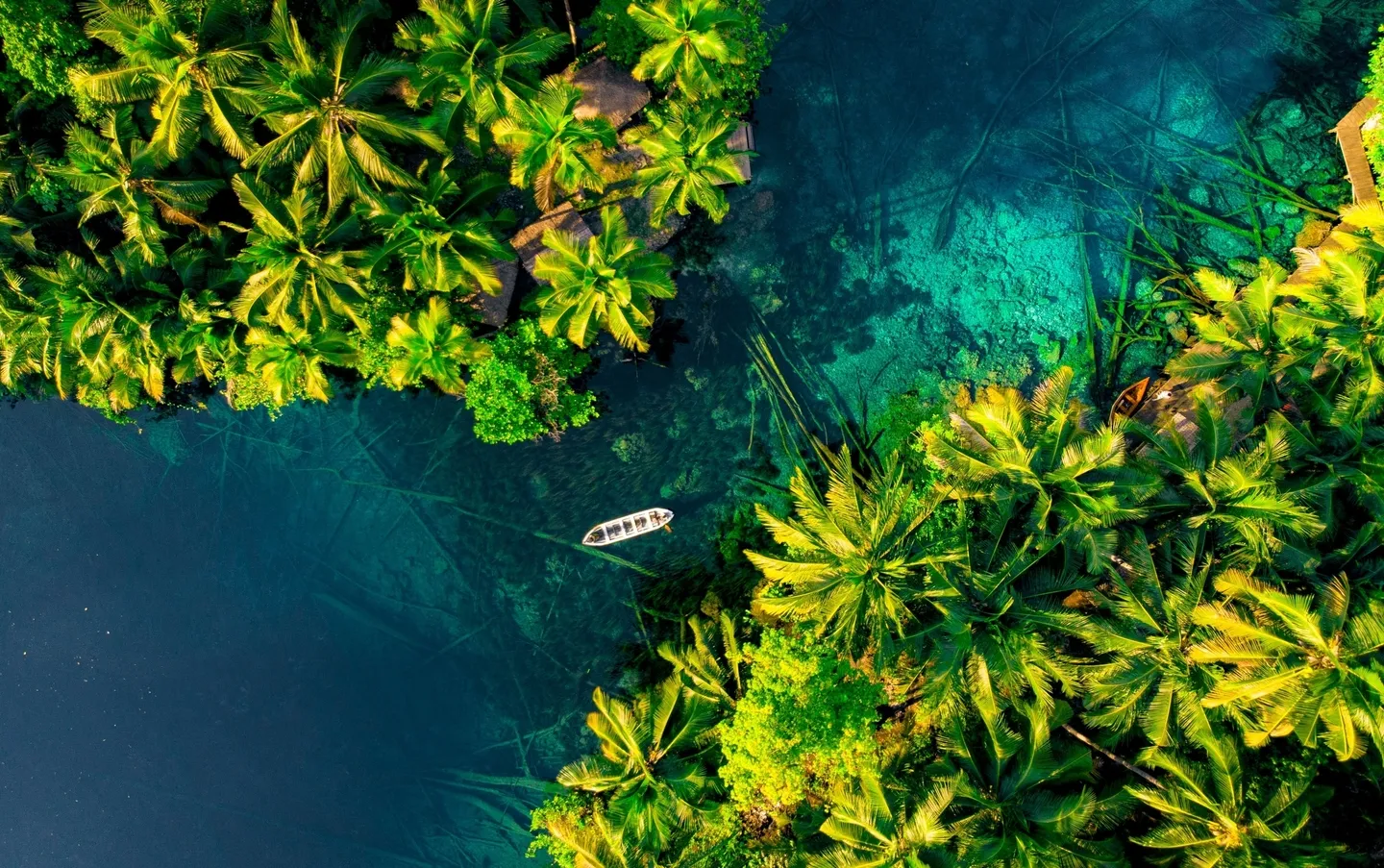 Tur Derawan Labuan Cermin Whale Shark