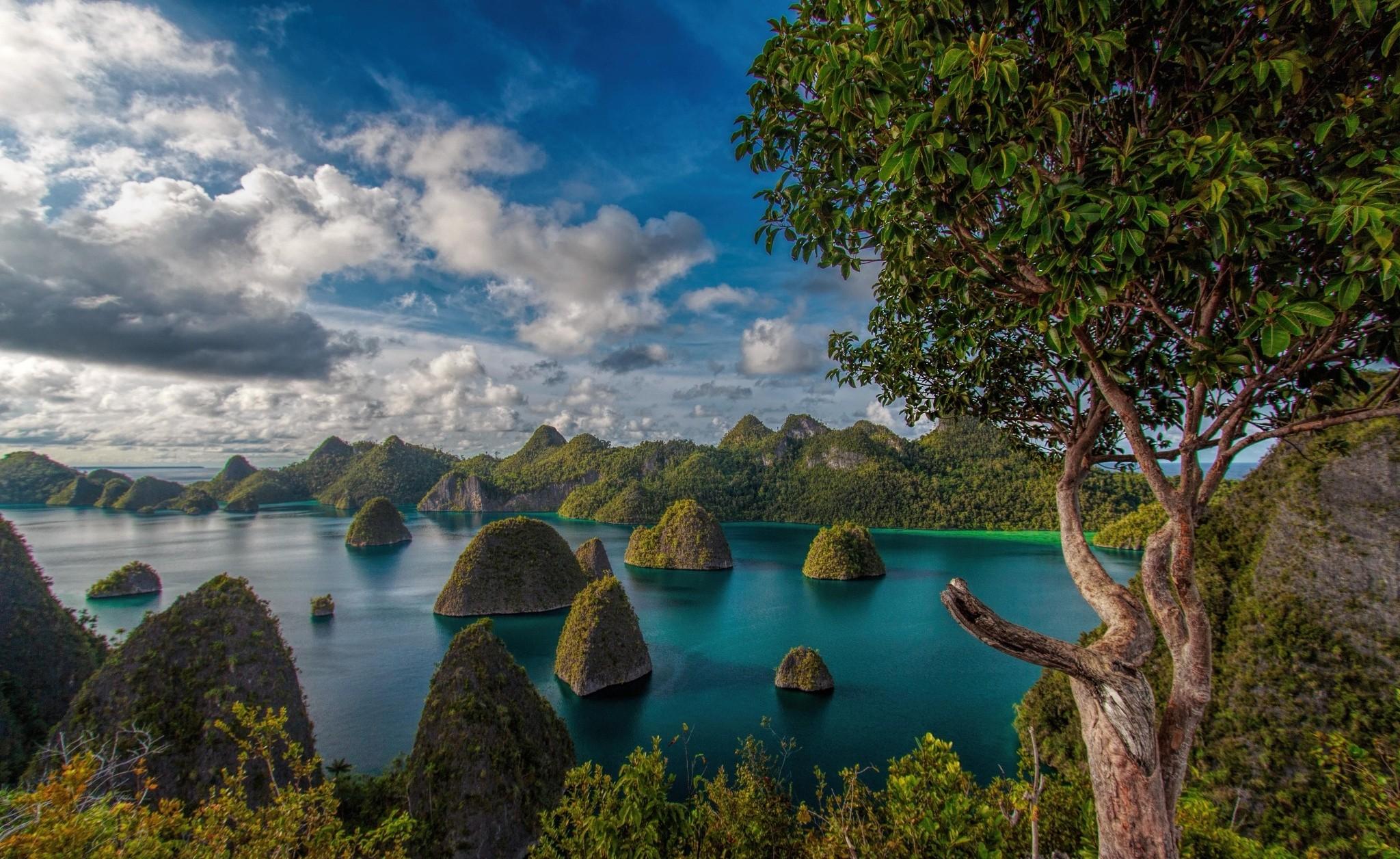 Tur Raja Ampat