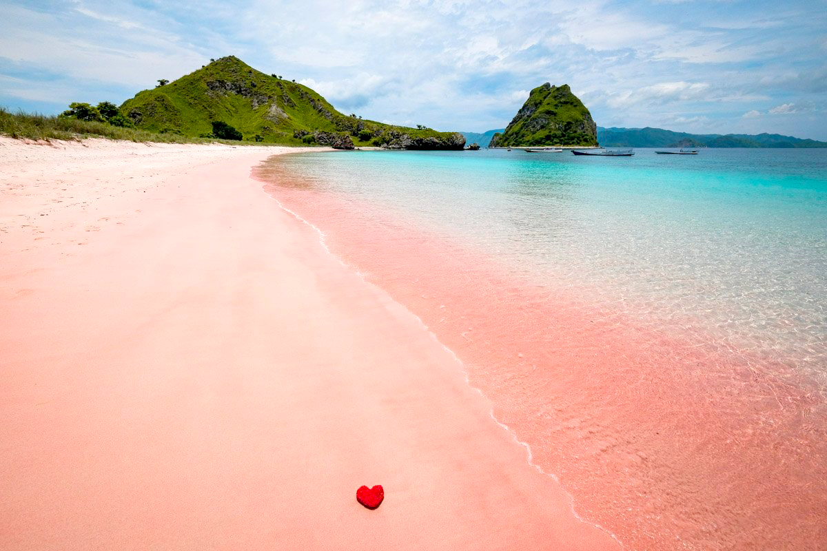 pantai pink beach di labuan bajo