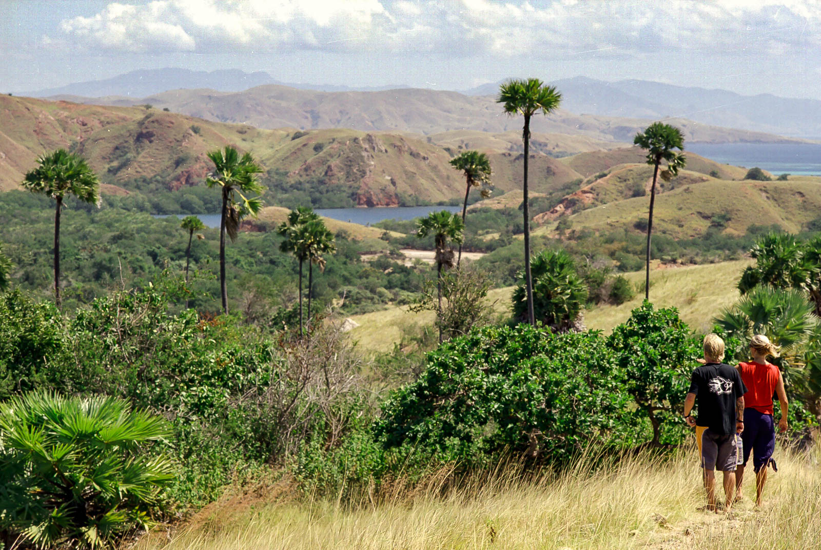 pulau rinca, pulau komodo di labuan bajo