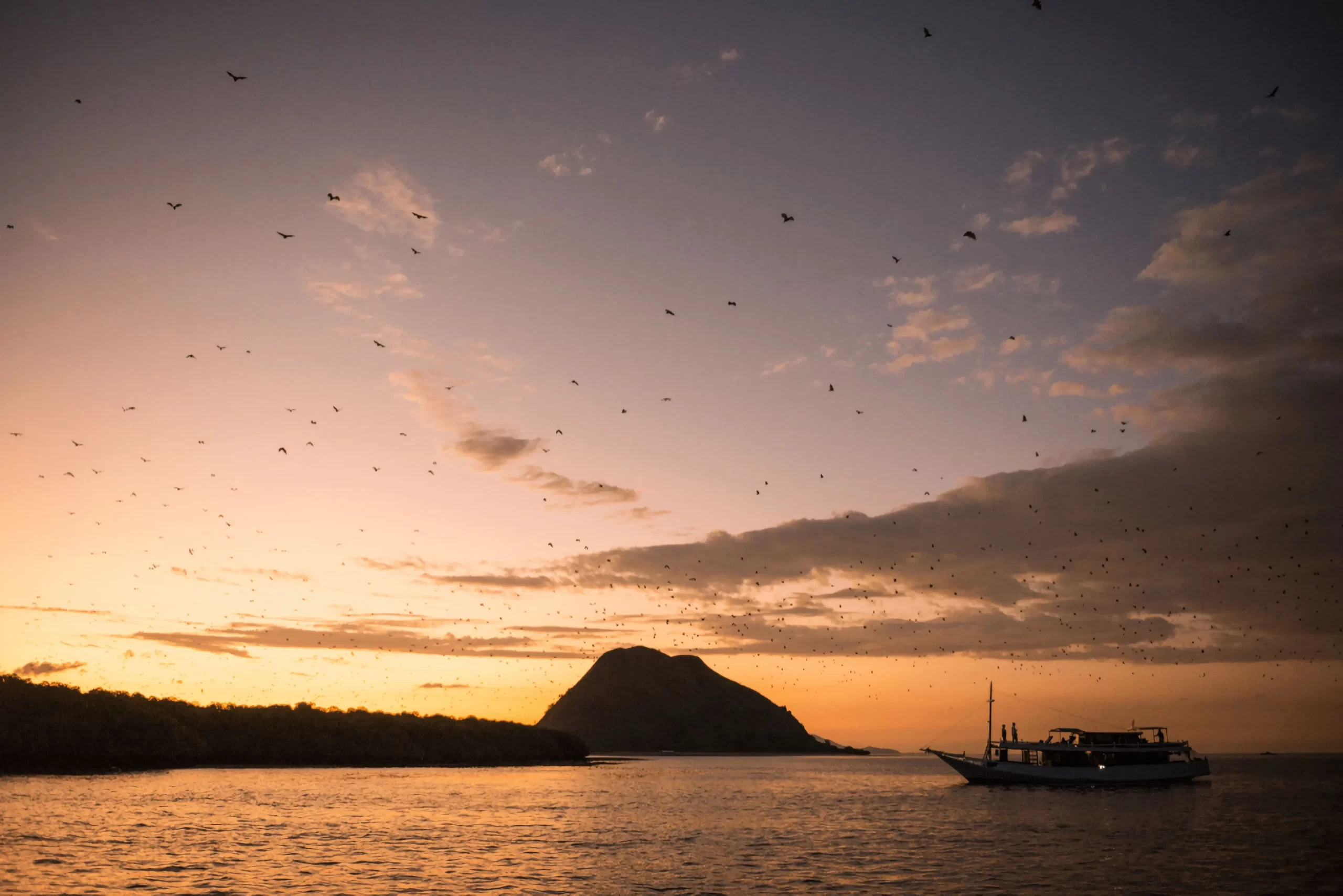 pulau kalong labuan bajo