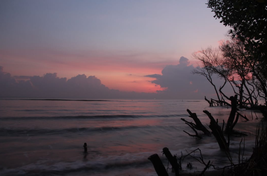 Pantai Muara Beting Bekasi