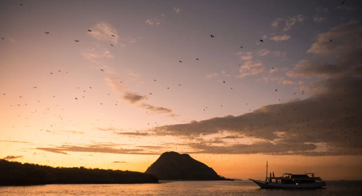 pulau kalong labuan bajo