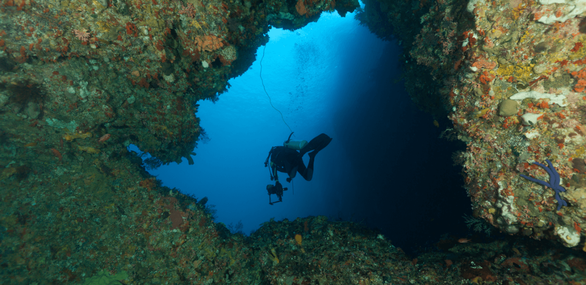 Dive-trip-alor- 5 hari 4 malam by dive trip indonesia