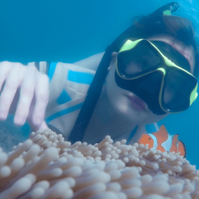 snorkling-di-pulau-peucang