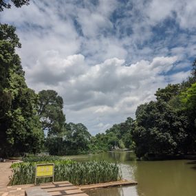 kebun raya bogor