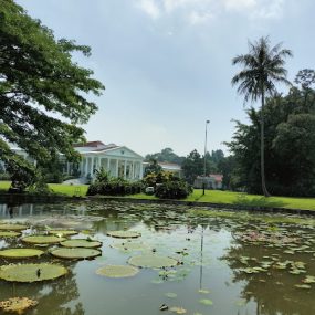 kebun raya bogor