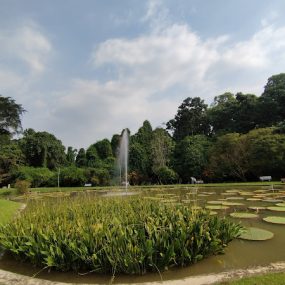 kebun raya bogor