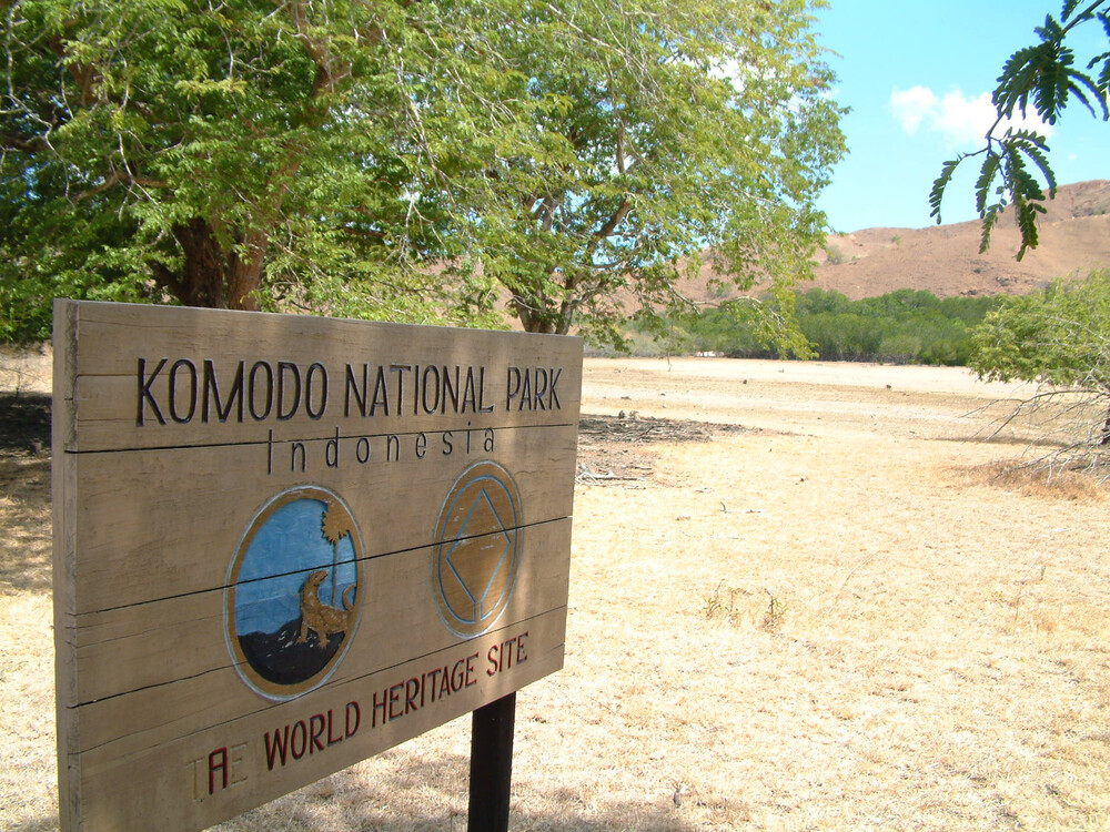 pulau komodo di labuan bajo